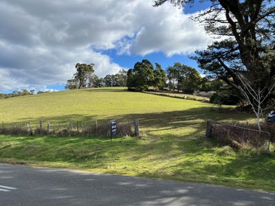 /international/au/lot-2-part-of-116680-tasman-highway-weldborough-tas-204297316/