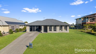 /international/au/14-brahminy-court-river-heads-qld-148512252/