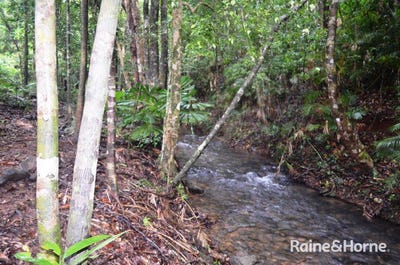 /international/au/64-silver-ash-road-cow-bay-daintree-qld-151277716/