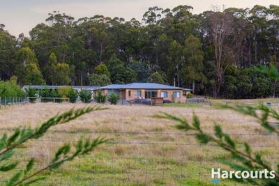 /international/au/203a-palmers-road-latrobe-tas-150999744/