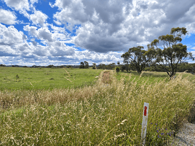 /international/au/160-coondle-drive-coondle-wa-204673844/
