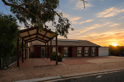 /international/au/17-hardwick-street-barmera-sa-151514204/