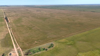 /international/au/50-parish-of-benetook-pirlta-north-merrinee-vic-700425584/