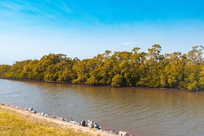 /international/au/lot-616-moreton-drive-jacobs-well-qld-204657576/