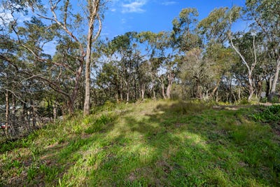/international/au/8-park-road-woodford-nsw-204564812/