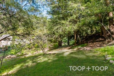 /international/au/51-wilpena-terrace-aldgate-sa-204668304/