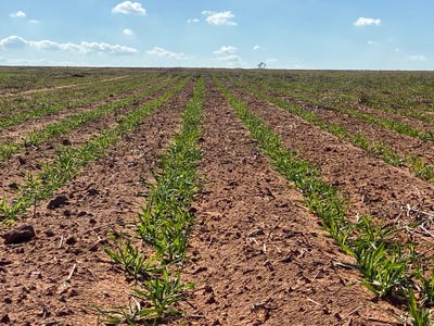 /international/au/23060-sturt-highway-yamba-sa-700369248/?lang=en