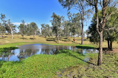 /international/au/515-coleyville-road-coleyville-qld-700361128/