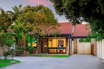 /international/au/3-48-castle-street-edwardstown-sa-151198348/