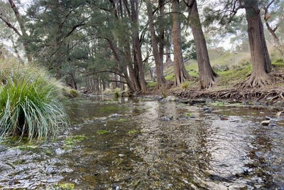 /international/au/part-4780-ilford-sofala-road-bathurst-nsw-700366824/?lang=zh-tw