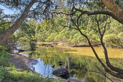 /international/au/691-lower-kangaroo-creek-road-coutts-crossing-nsw-700367484/?lang=zh-cn