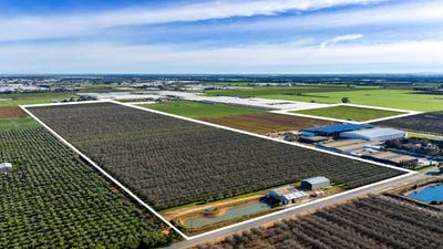 /international/au/306-taylors-road-virginia-sa-505176260/