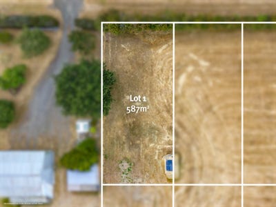 /international/au/lot-1-126-dexter-street-westbury-tas-204425084/
