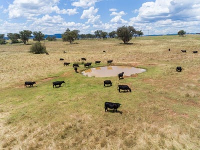/international/au/730-ascot-calala-road-tamworth-nsw-151897548/