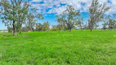 /international/au/359-balcarry-lane-attunga-nsw-700367720/?lang=zh-cn