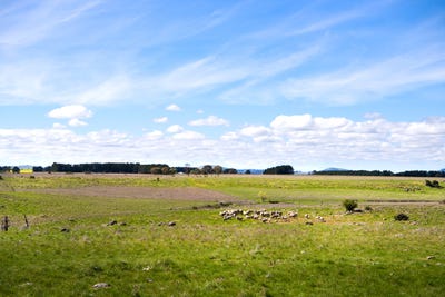 /international/au/135-slaughteryard-road-clunes-vic-204674548/