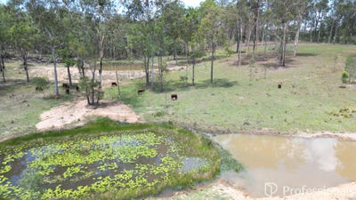 /international/au/lot-1-old-gympie-road-owanyilla-qld-204359156/