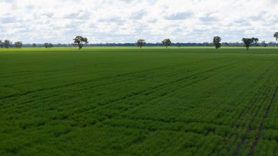 /international/au/141-cheecome-road-moree-nsw-700412220/
