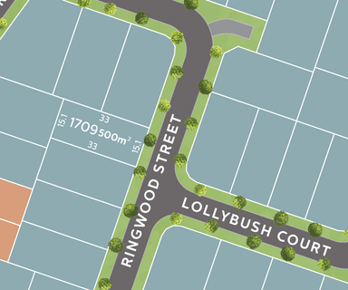 /international/au/lot-1709-ringwood-street-mount-low-qld-204372388/