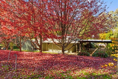 /international/au/684-tames-road-strathbogie-vic-151034496/