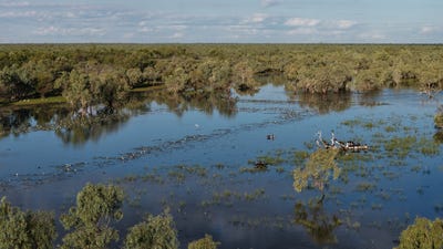 /international/au/ella-vale-station-ellavale-rd-croydon-qld-700412504/