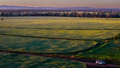 /international/au/298-eumungerie-road-narromine-nsw-700426780/
