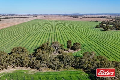 /international/au/loddon-west-road-serpentine-vic-700394900/