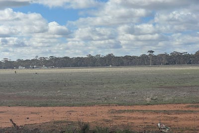 /international/au/77-snell-road-nangeenan-wa-700368500/?lang=pt