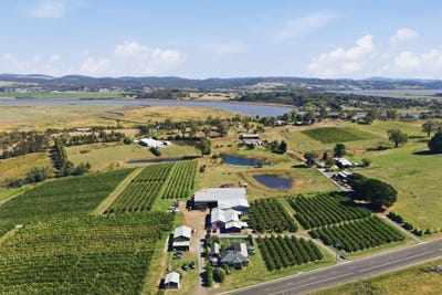 /international/au/161-john-lees-drive-dilston-tas-700402872/