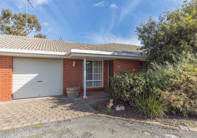 /international/au/2-22-third-street-nuriootpa-sa-148762380/