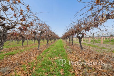 /international/au/77-milne-bay-road-robinvale-vic-700412880/