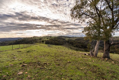 /international/au/1316-bundalah-road-euchareena-nsw-700413552/