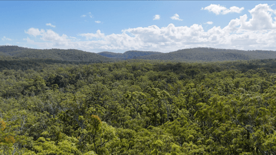 /international/au/566-middle-creek-road-kremnos-nsw-700405980/