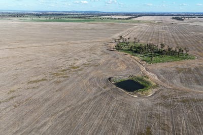 /international/au/round-hill-east-road-bribbaree-nsw-700404160/