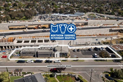 /international/au/northern-suburbs-veterinary-hospital-505-greensborough-road-greensborough-vic-505262456/