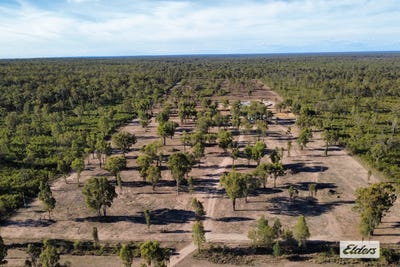 /international/au/289-myra-road-tara-qld-700427516/