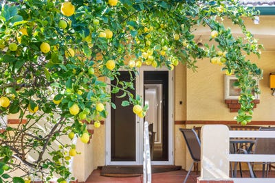 /international/au/94-dalkeith-road-nedlands-wa-148586568/?lang=en