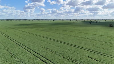 /international/au/814-murrays-road-moree-nsw-700427792/