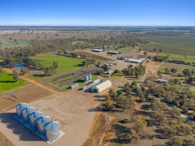 /international/au/2025-tuppal-road-pine-lodge-nsw-700366920/?lang=zh-cn