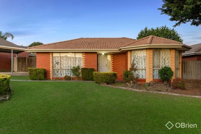 /international/au/8-rubicon-court-hallam-vic-151024520/