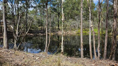 /international/au/lot-2-thomas-road-curra-qld-204533296/