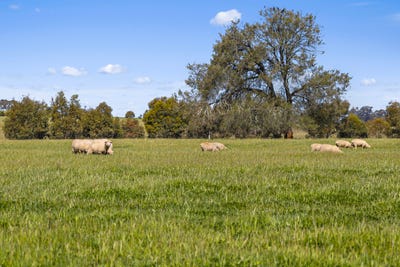 /international/au/tattersalls-lane-moormbool-west-vic-700427276/
