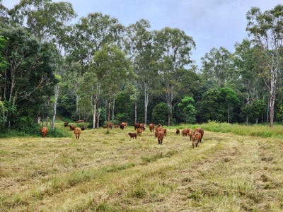 /international/au/lot-3-kanigan-road-kanigan-qld-700411340/