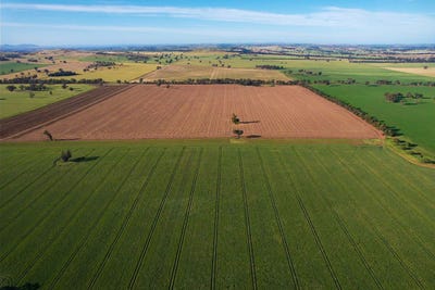 /international/au/cootamundra-nsw-700428180/
