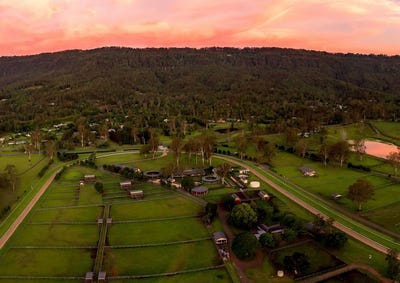 /international/au/hinterland-farm-115-mundoolun-connection-road-wonglepong-qld-505129248/