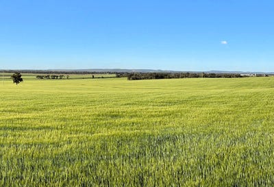 /international/au/binneguy-station-biniguy-nsw-700428132/