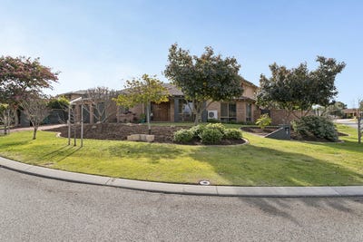 /international/au/1-oakham-place-balcatta-wa-152158248/