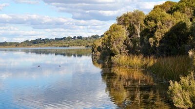 /international/au/252-pinjar-road-mariginiup-wa-204438876/
