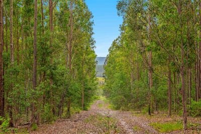 /international/au/18-ryans-road-bonalbo-nsw-700369132/?lang=zh-tw