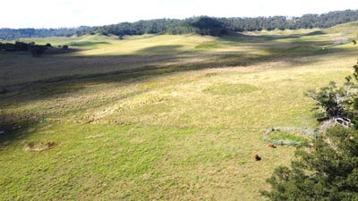 /international/au/100-backmede-road-backmede-nsw-700400220/